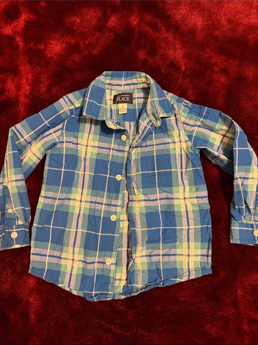The Children's Place Blue and Light Green Plaid Button-Down Shirt